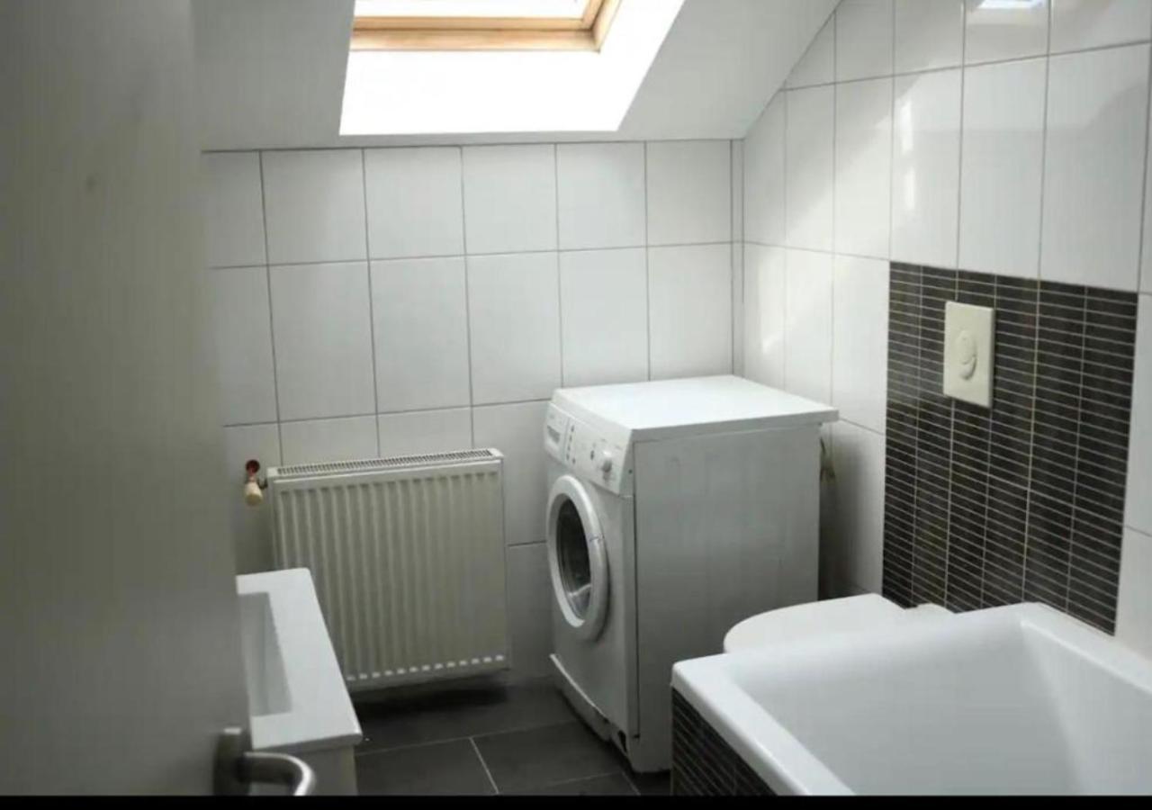 Le Wolf - 1 Chambre Privee Dans Un Appartement - 5Mn Tram Du Centre Ville - 15Mn Tram Gare Tgv Mulhouse - Wifi - Parking Kültér fotó